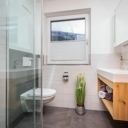 Bergpanorama Daire Flachau