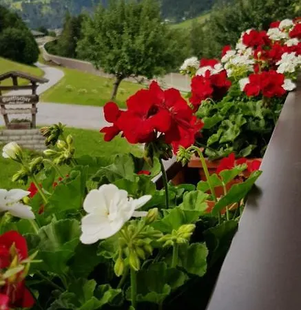 Bergpanorama *