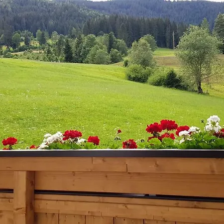 Bergpanorama * Flachau