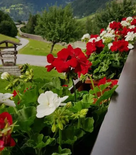 Bergpanorama *