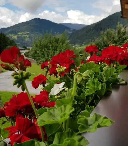 Bergpanorama